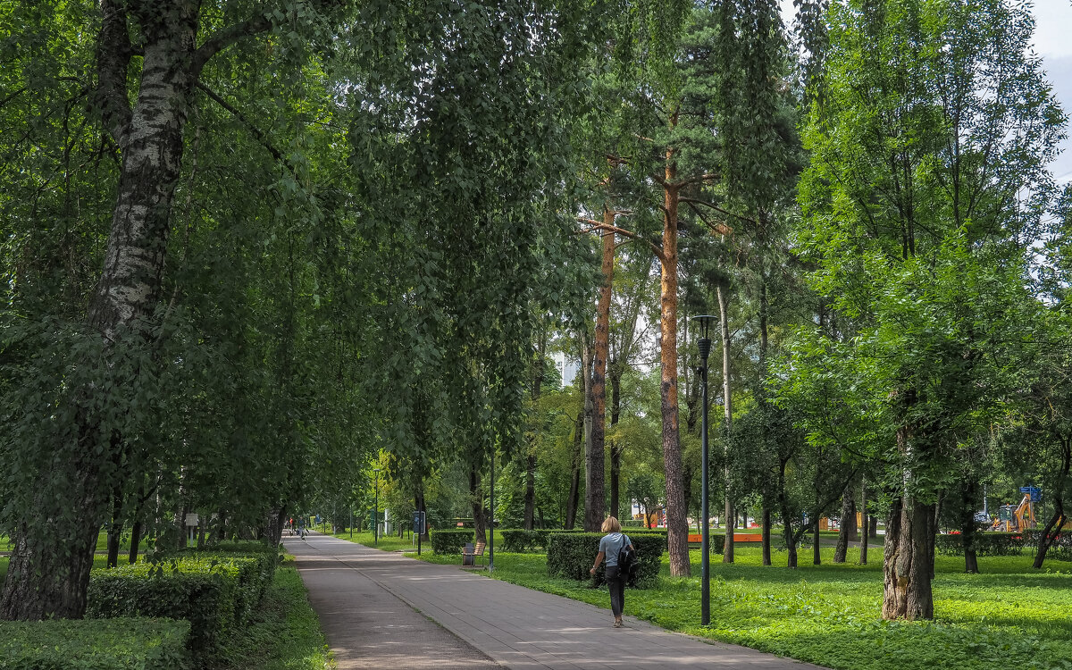 Прогулки в Летнем Парке - юрий поляков