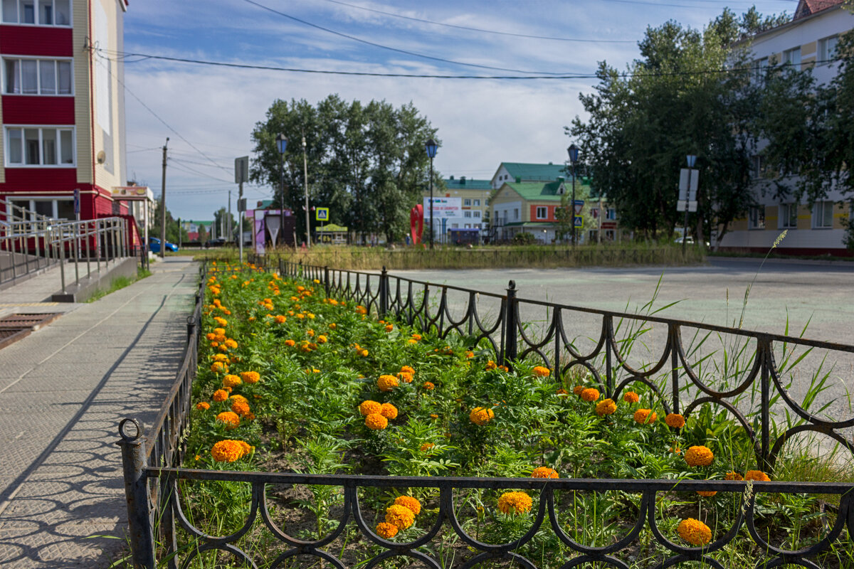 *** - Дмитрий Костоусов