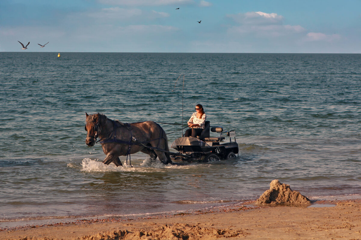 Морское такси - Valziwa Морское такси - Valziwa
