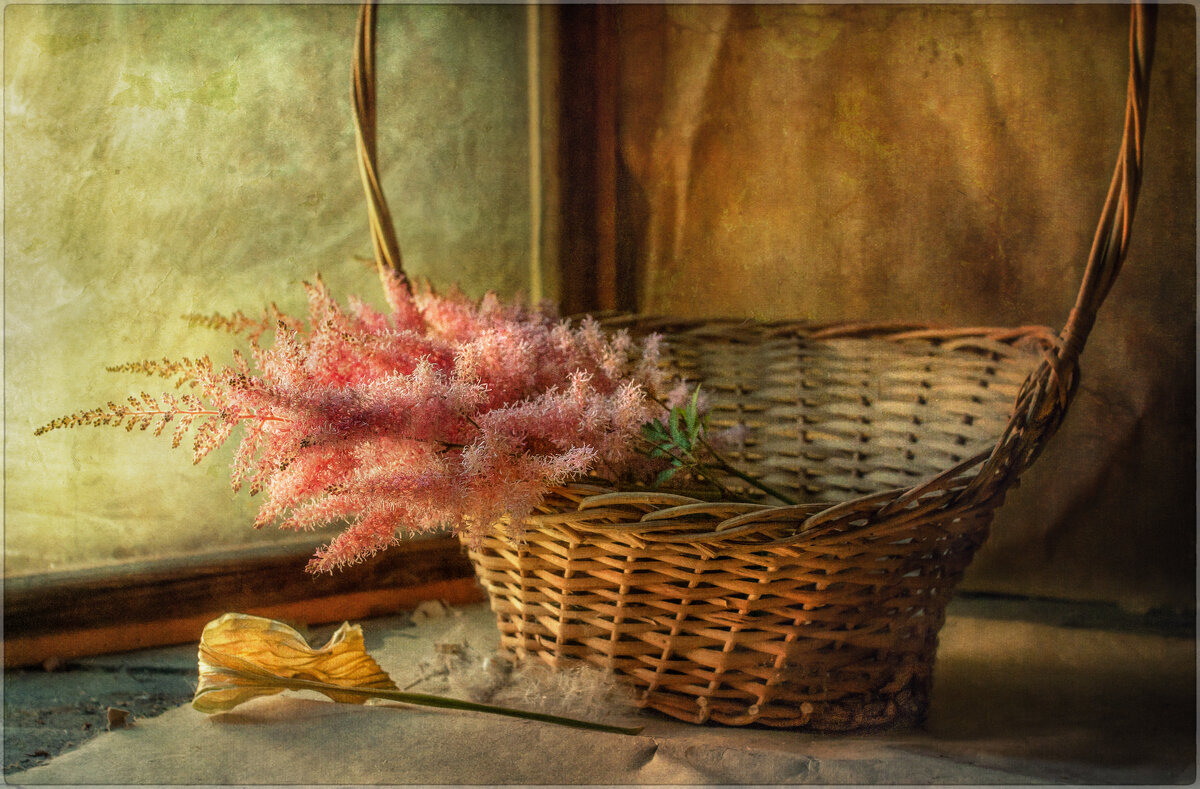/*/ - Oleg Rastorguev