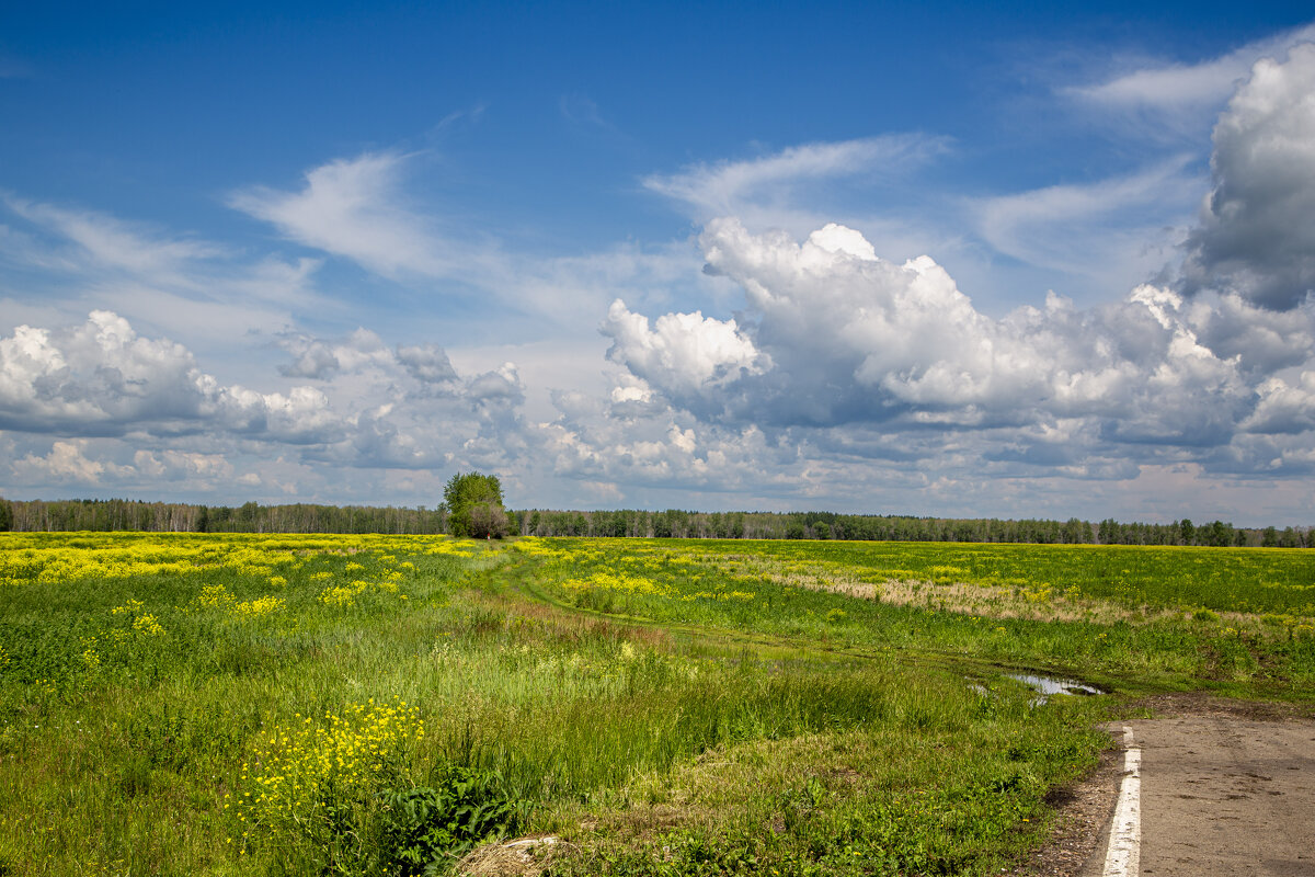 Поля Зауралья - Barguzin_45 Иваныч Поля Зауралья - Barguzin_45 Иваныч