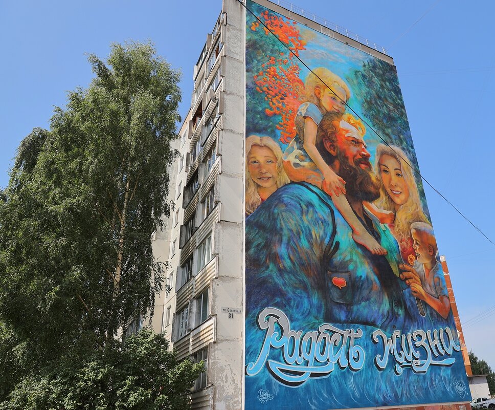 радость жизни - Владимир иванов