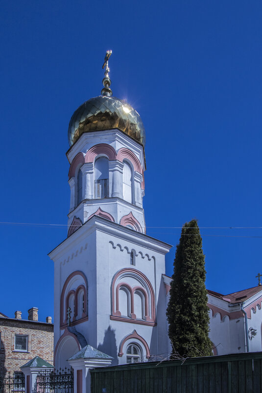 *** - Николай 