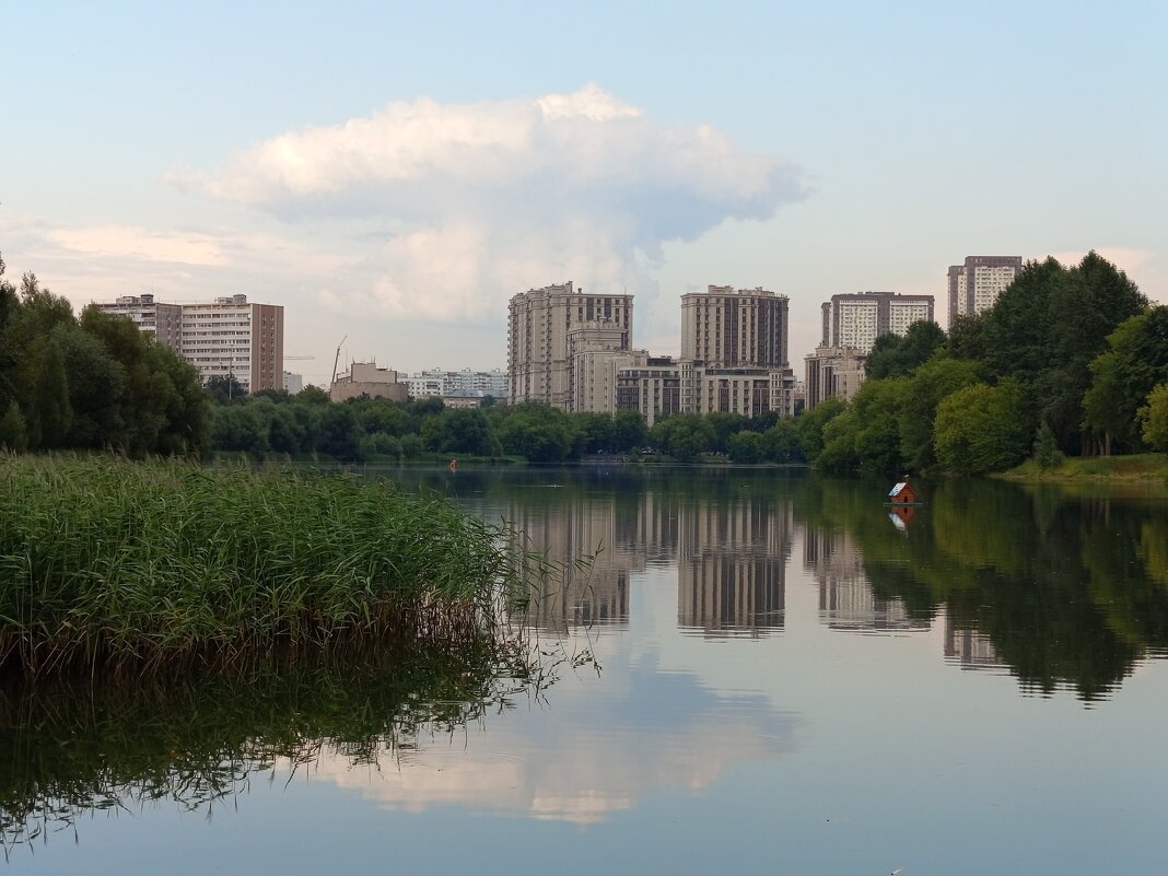 * * * - Андрей Лукьянов