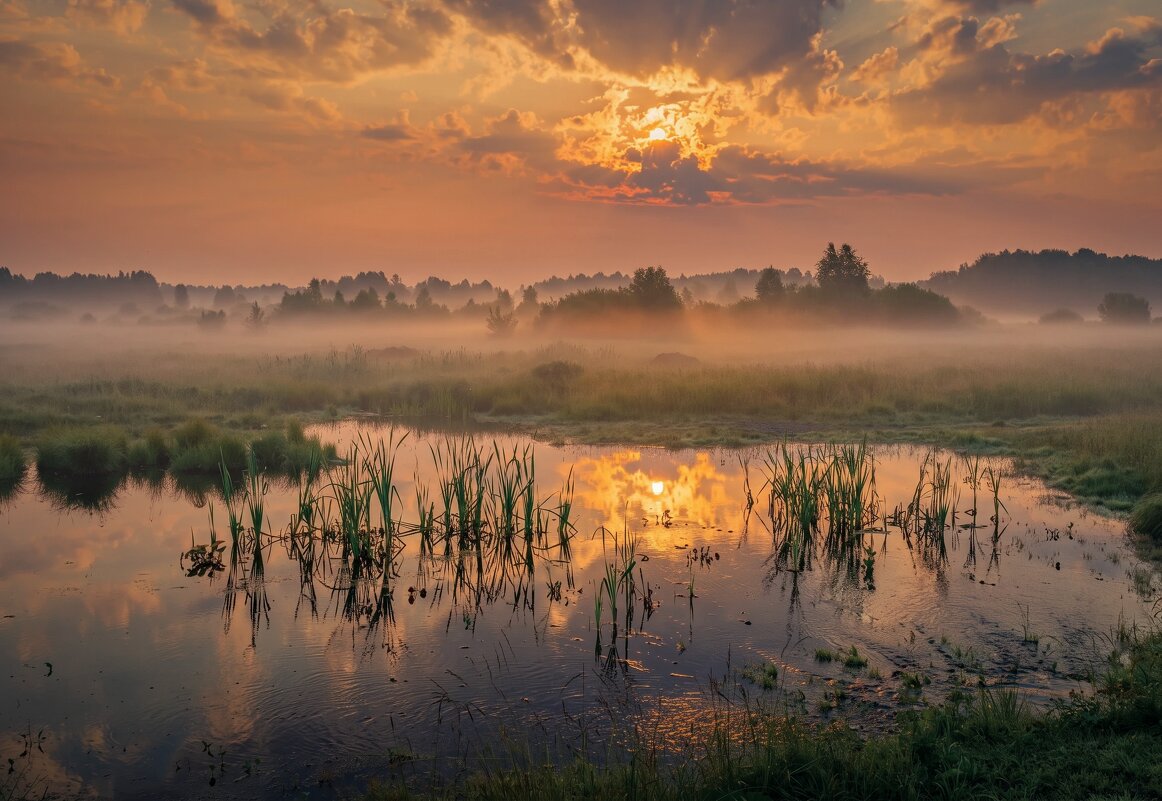 *** - Алексей Мезенцев