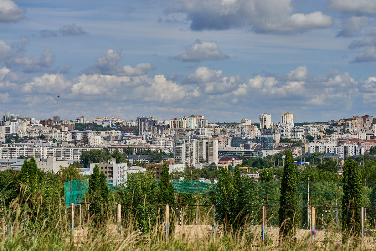 Белгород - Александр Леонов