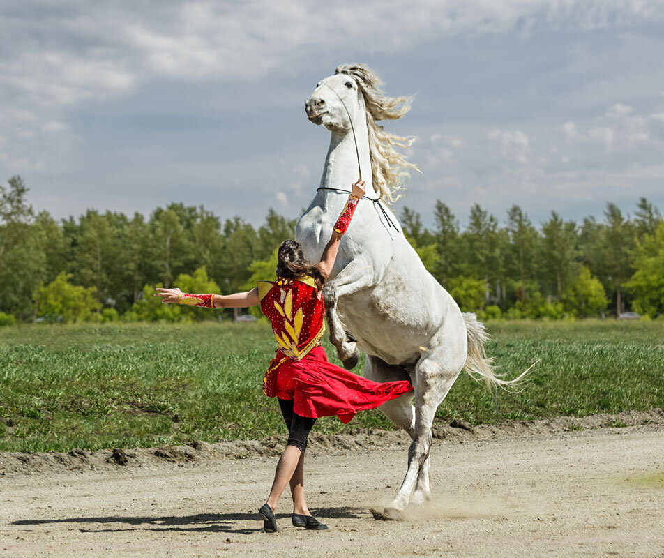 Конь - SanSan 