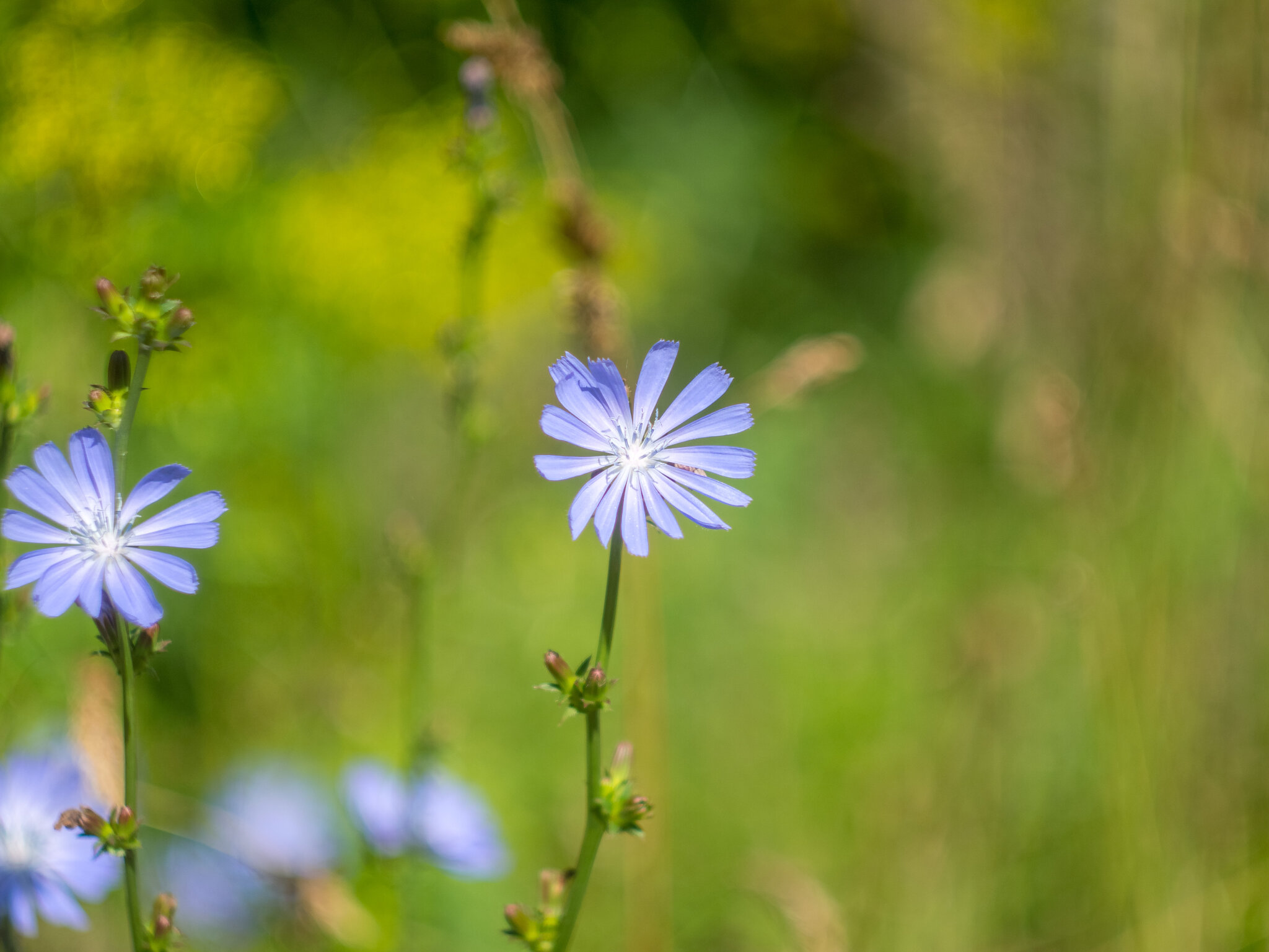 Природа :: Yuriy V Природа :: Yuriy V
