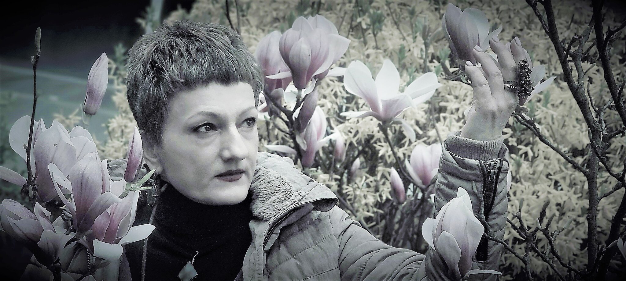 Магнолия :: Лана 