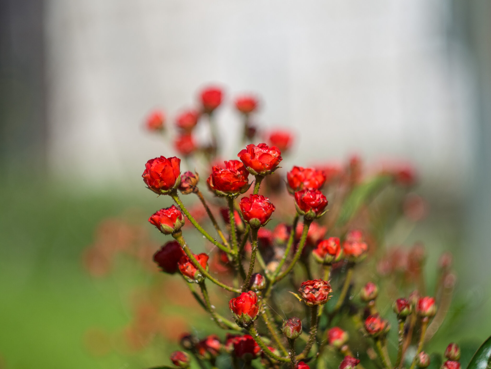 Природа :: Yuriy V Природа :: Yuriy V