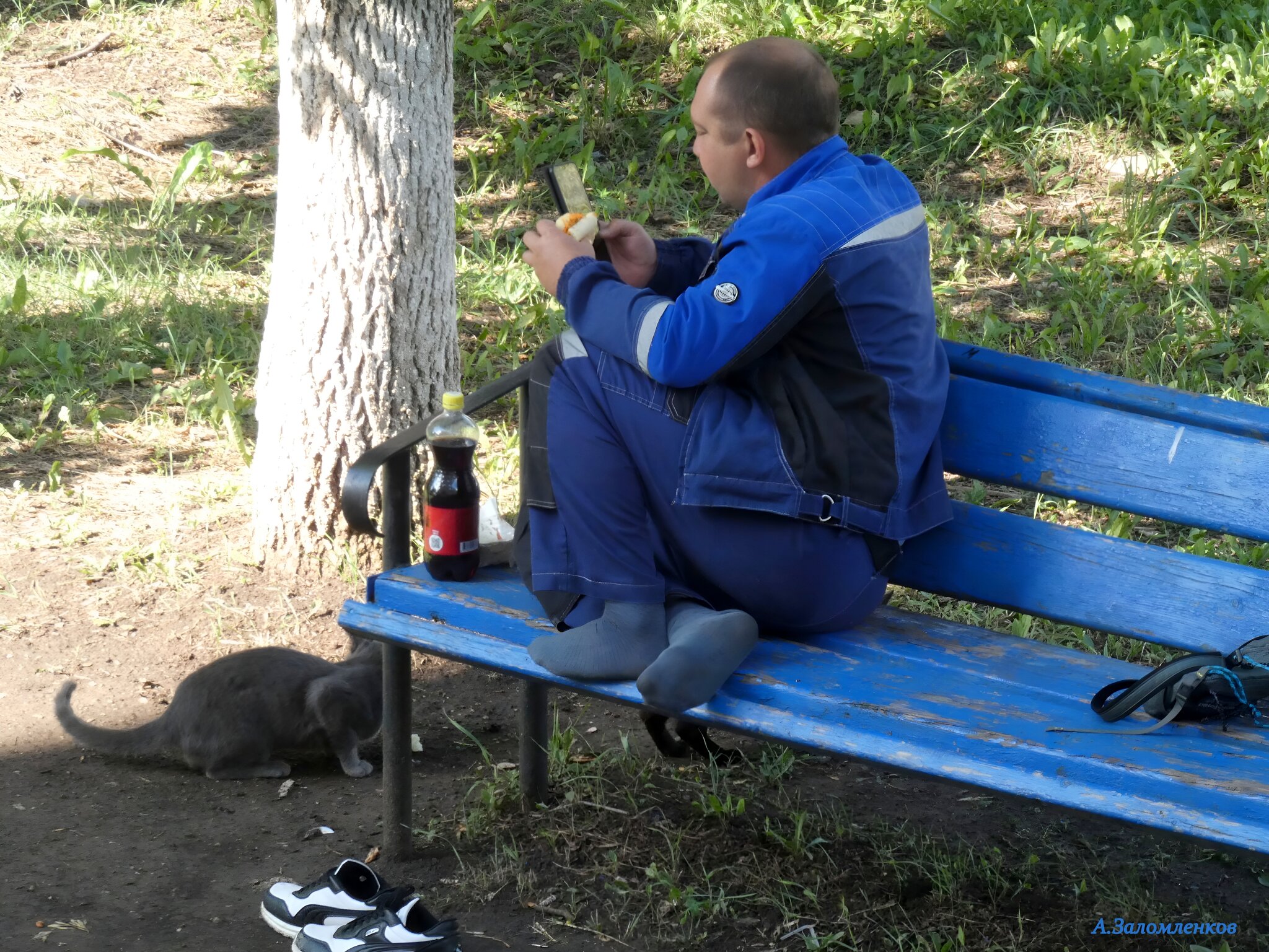 А сегодня что, на работу надо? Совсем забыл! :-) :: Андрей Заломленков А сегодня что, на работу надо? Совсем забыл! :-) :: Андрей Заломленков