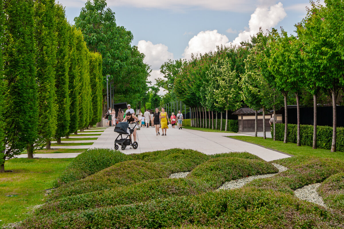 Парк Галицкого в городе Краснодар :: Игорь Сикорский Парк Галицкого в городе Краснодар :: Игорь Сикорский