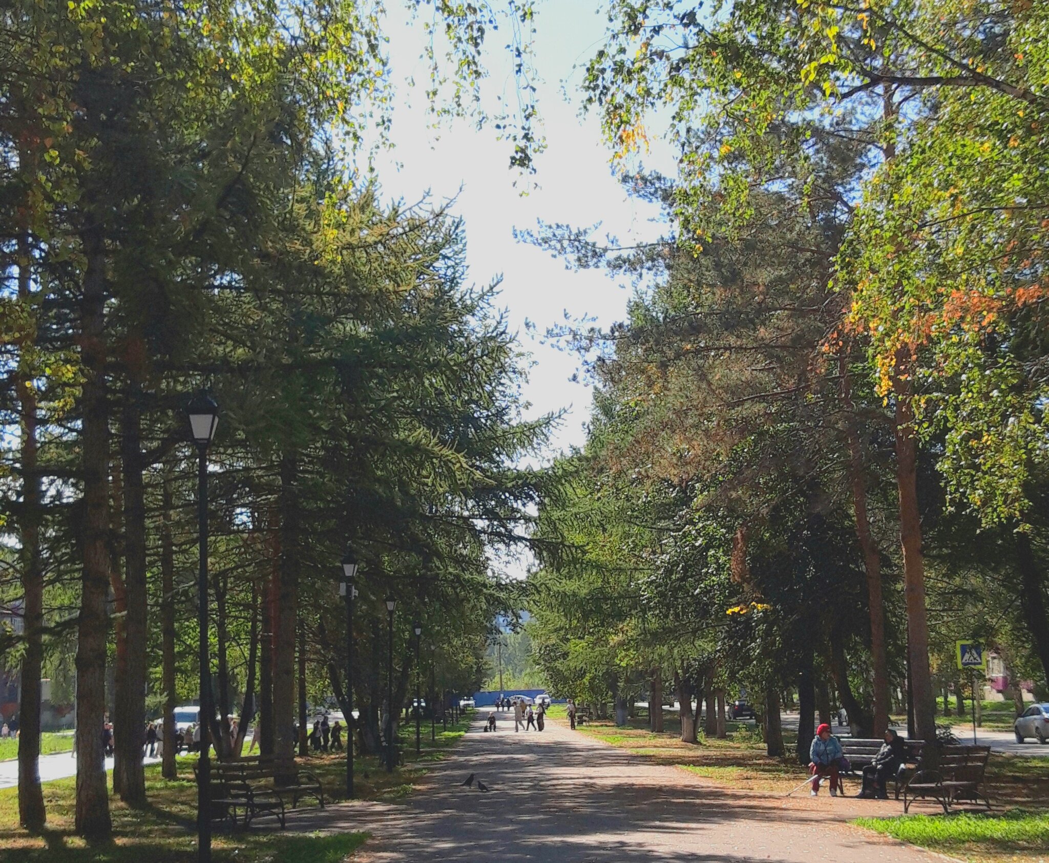 осень :: Венера Чуйкова осень :: Венера Чуйкова
