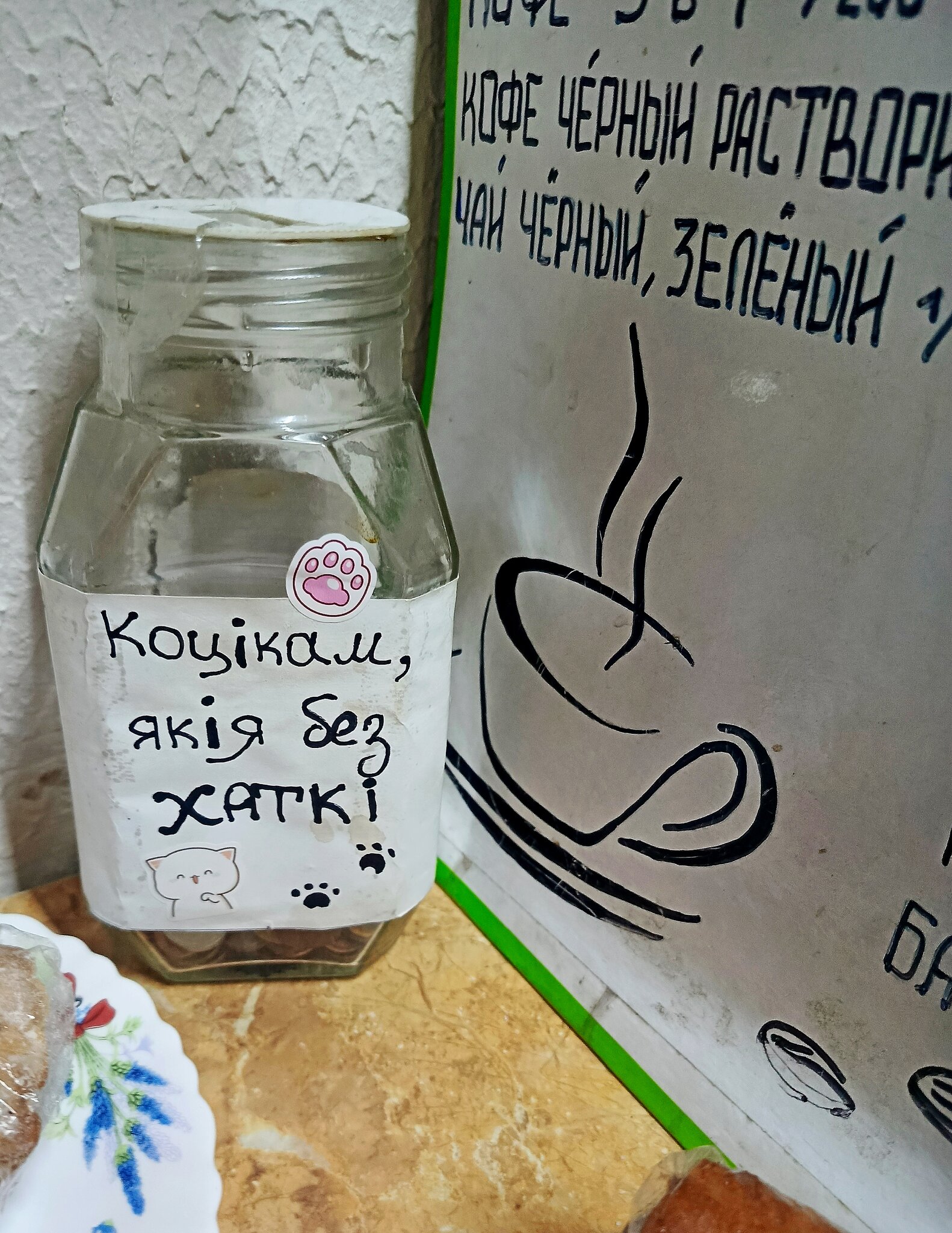 Для бездомных котиков... :: Vladimir Semenchukov Для бездомных котиков... :: Vladimir Semenchukov
