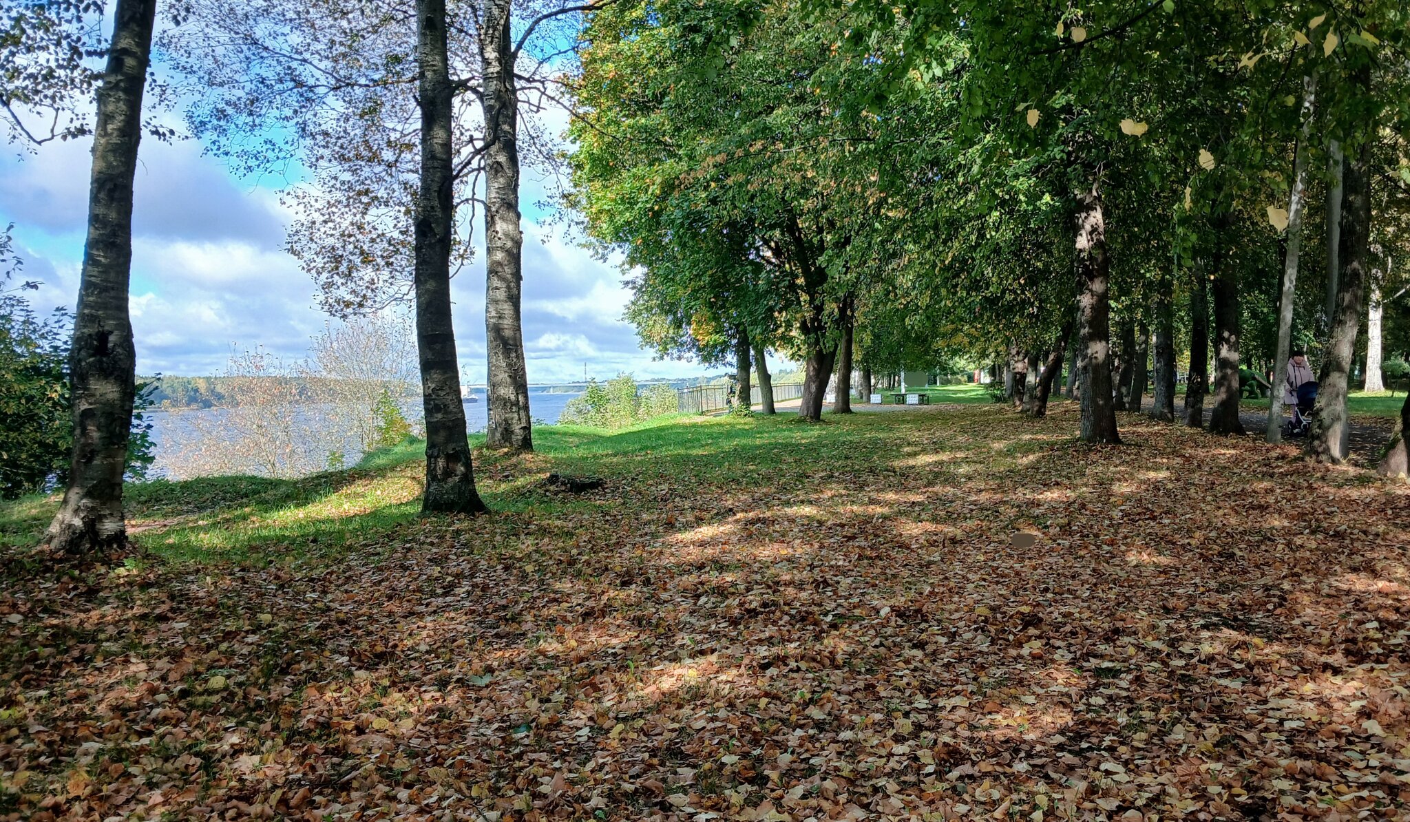 Кировск. Городской парк :: Наталья Герасимова Кировск. Городской парк :: Наталья Герасимова