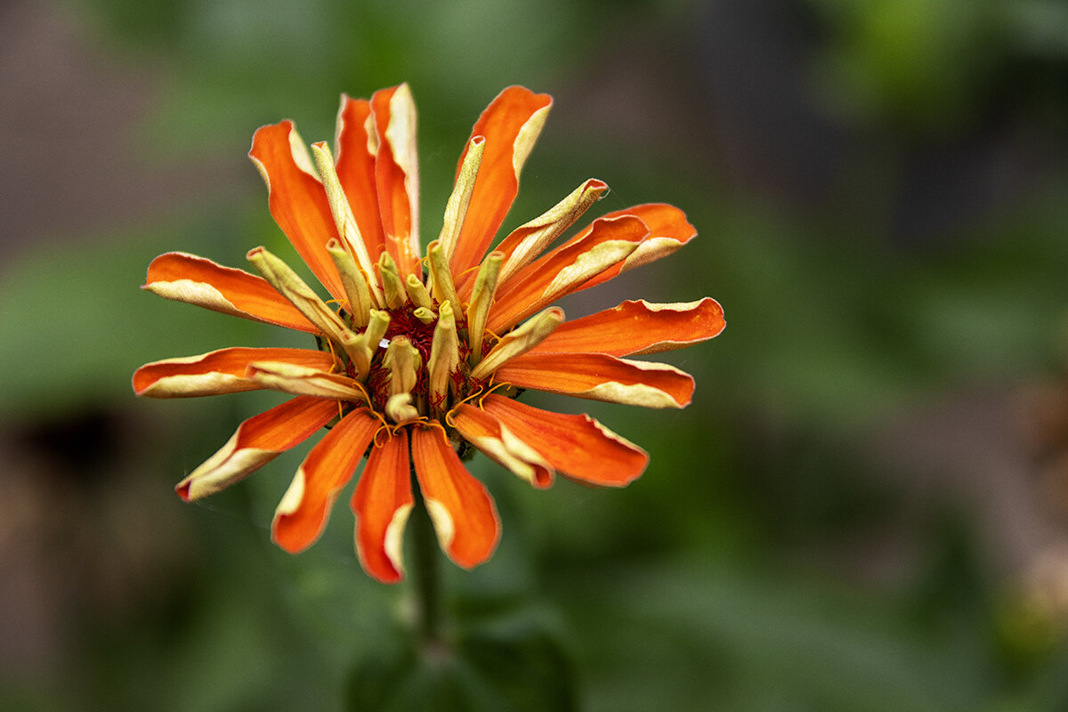 IMG_3691 :: Дмитрий IMG_3691 :: Дмитрий