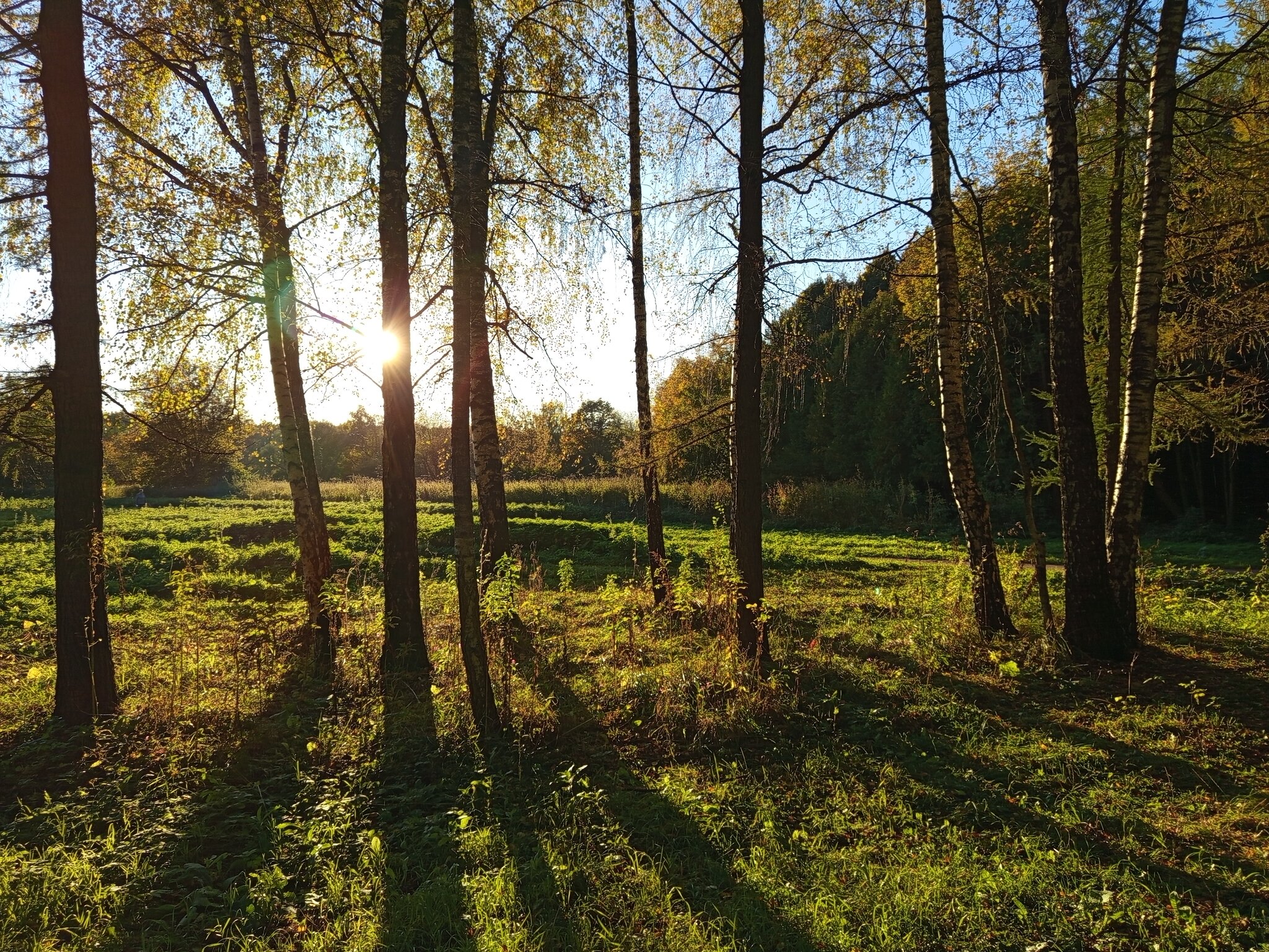 Пейзаж :: Андрей Лукьянов Пейзаж :: Андрей Лукьянов