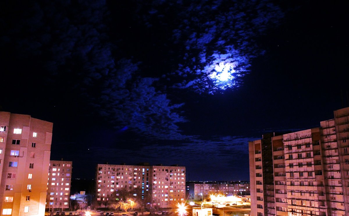 *** - Вадим Виловатый