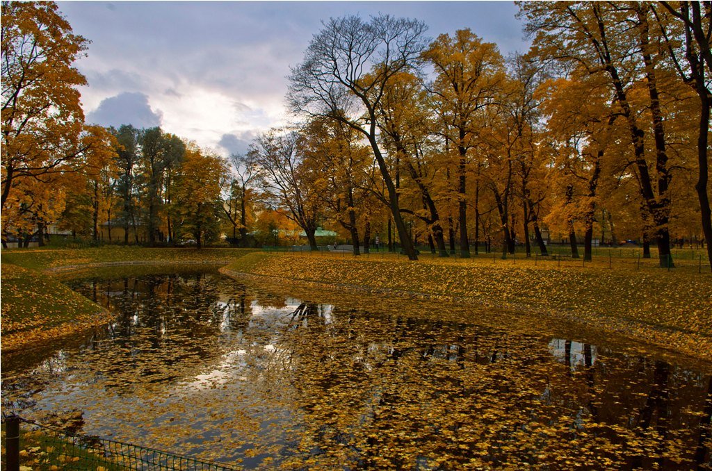 Осень - Елена 