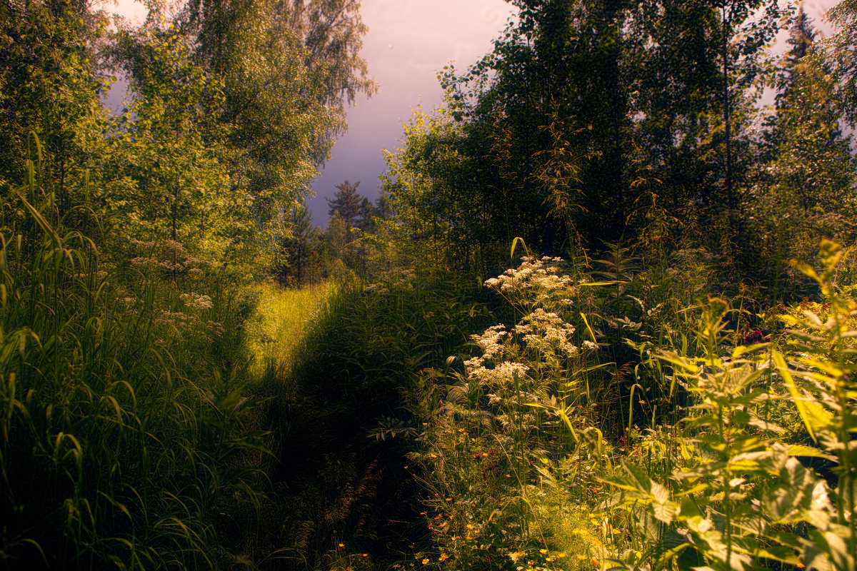 Перед грозой - Евгения Вишнякова