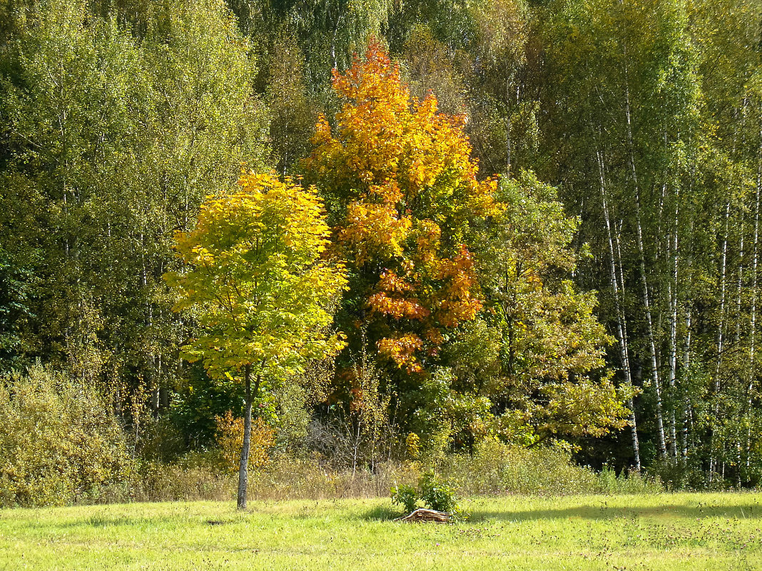 Накануне - Сергей Егоров