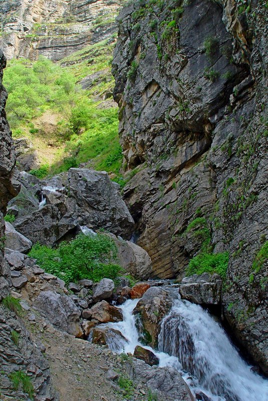 КУЛОСЬЯ, ТЕСНИНЫ - Виктор Осипчук