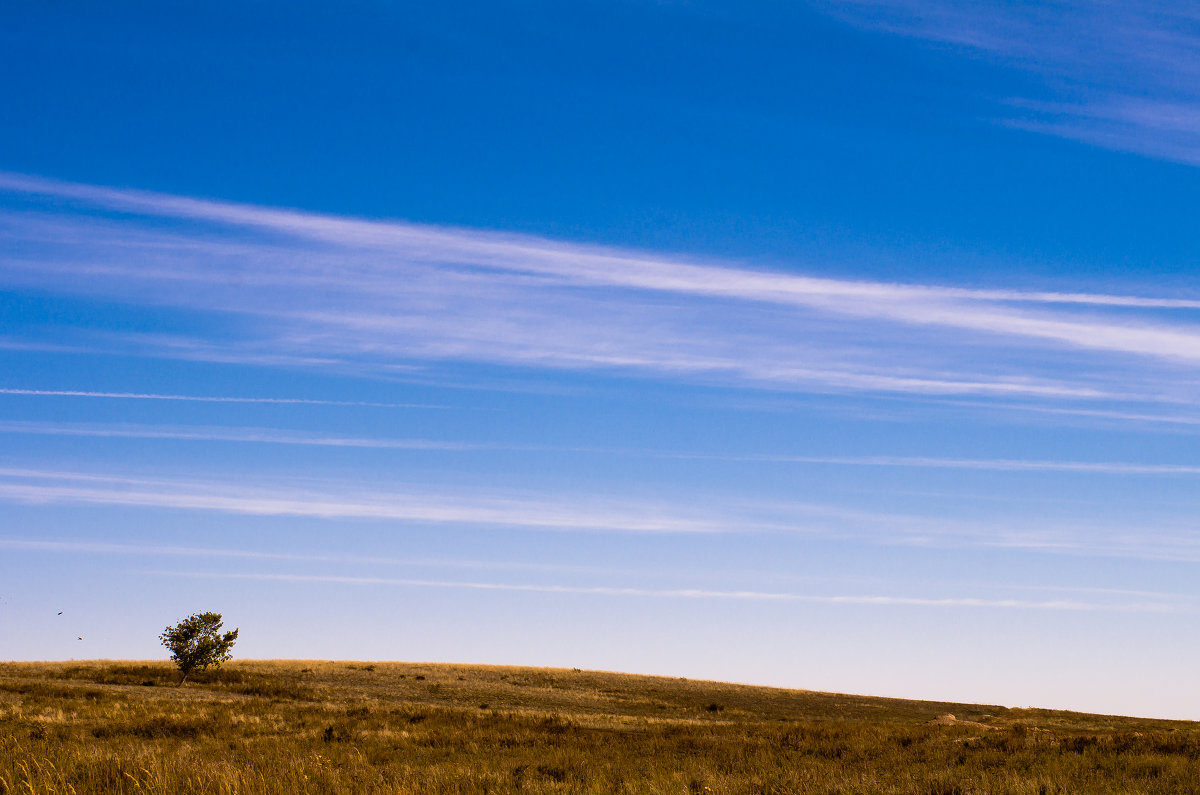 ... - Дмитрий Ломтев