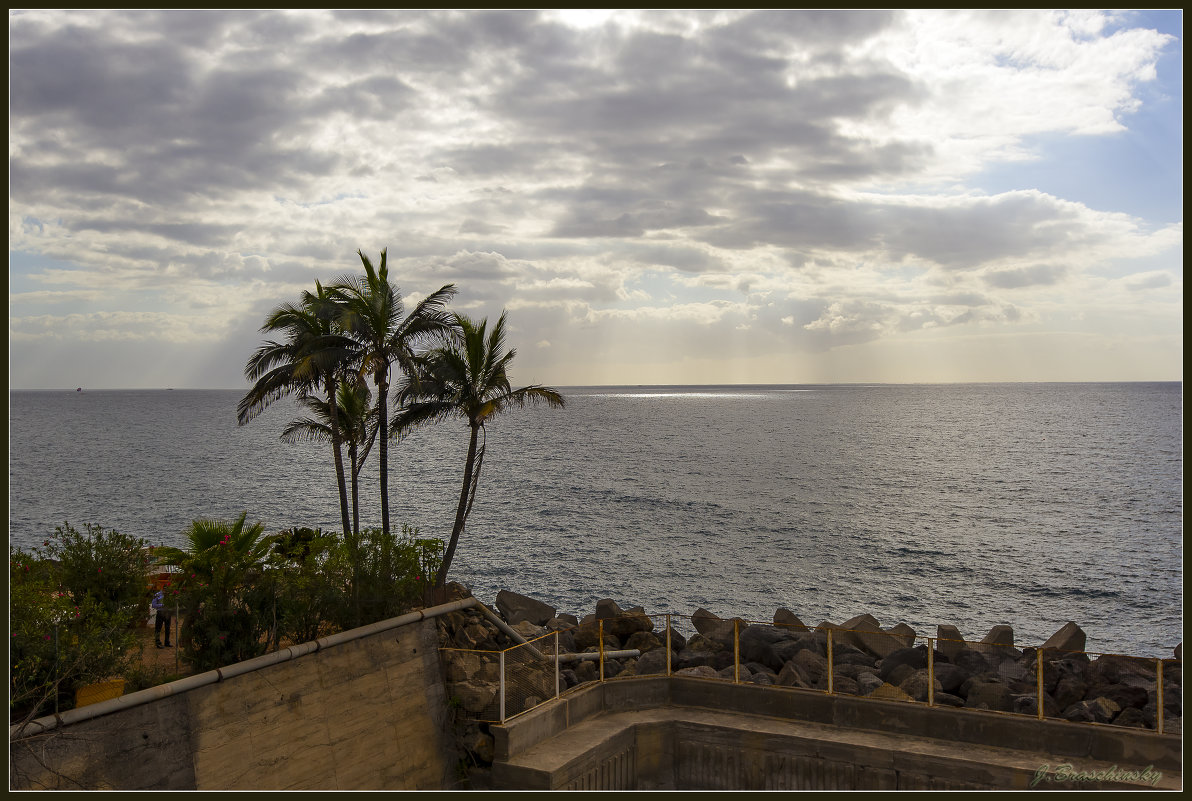 Tenerife. - Jossif Braschinsky