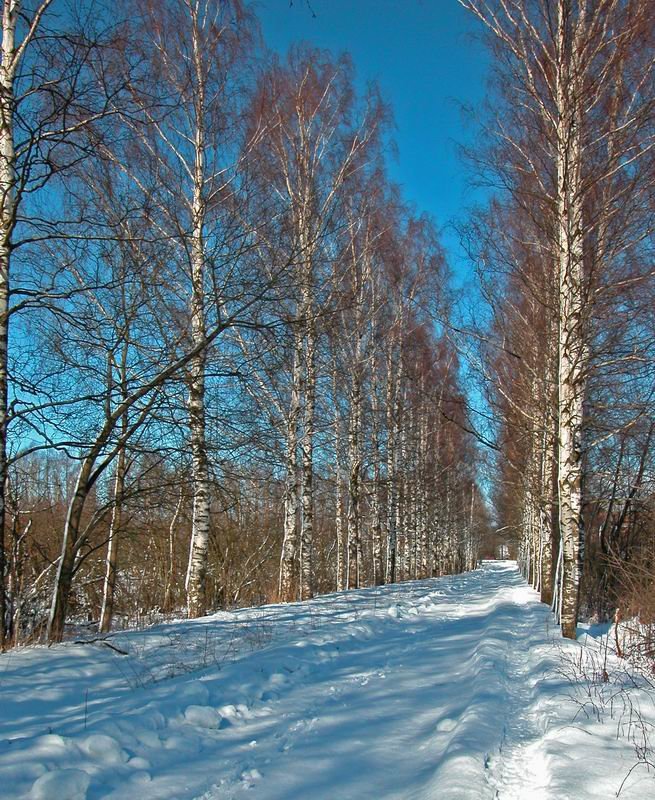 Весна света - Наталья Лунева 