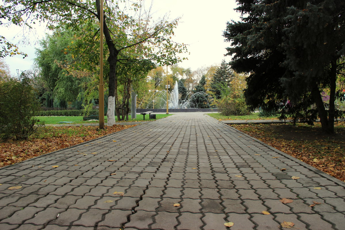 ~~~ - Полина Воркачева