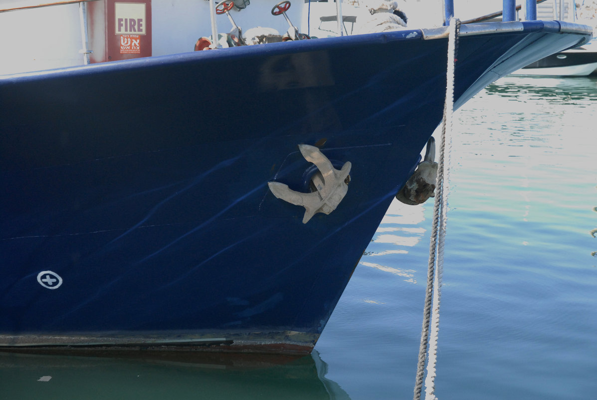 *** - susanna vasershtein