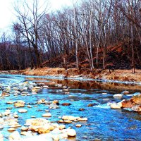 скоро весна :: Владимир 