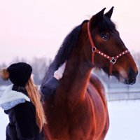 Взаимопонимания :: Ксения