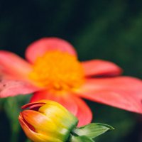 12 :: Ivanna Hrabinska