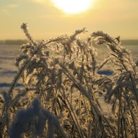 Хрустальное утро :: Галина Ильясова