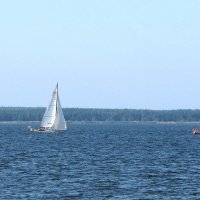 Регата :: Александр Ильчевский 