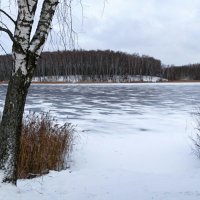 Зимний пейзаж. :: Милешкин Владимир Алексеевич 