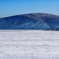 Рыбаки на Амуре. :: Виктор Иванович Чернюк