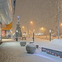 Утренний снегопад :: Валерий Иванович