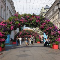 Цветочный джем в Москве. :: Евгений Седов