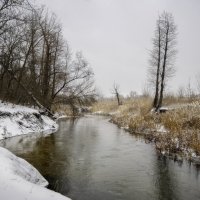 Ещё не скована река... :: Валерий VRN