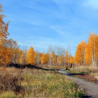 Осень в парке.... :: Анатолий Анищик