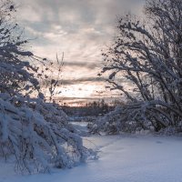 ... :: Евгений(Жора) Житников