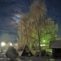 Белая берёза под моим окном, нарядилась ёлочкой, поздним вечерком... )) :: Владимир Хиль