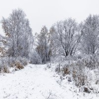 Зима пришла :: Евгений 