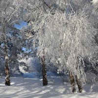 Зимний хрусталь. :: Сергей Воротников