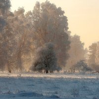 В хрустале инея. :: Вадим Басов