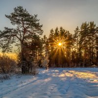 День зимнего солнцестояния  4 :: Андрей Дворников