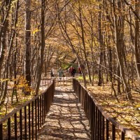 Подъем на гору к Святому источнику :: Игорь Сикорский