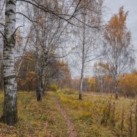 Московская осень... :: Владимир Жданов